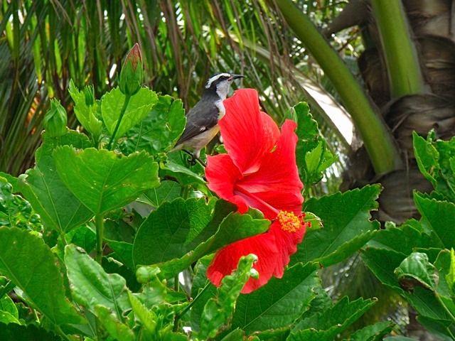 PA030037