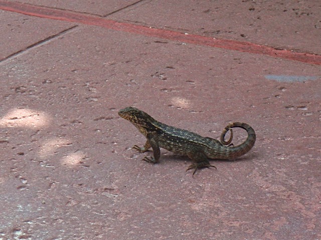 PA030045