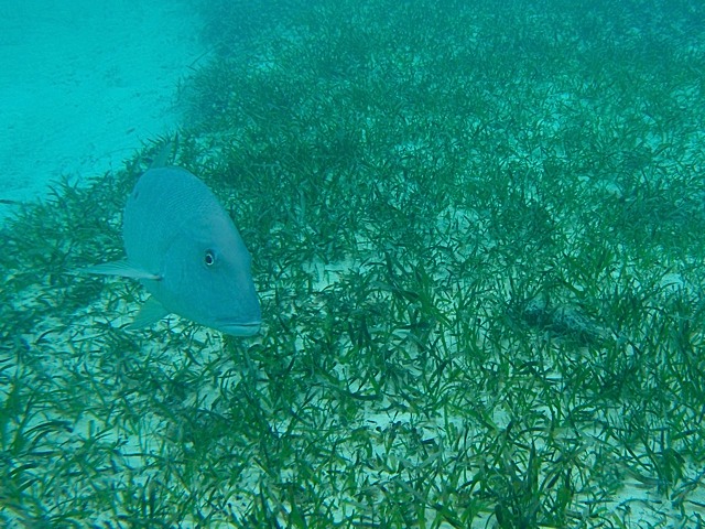 PA030060