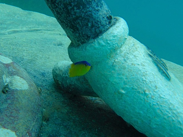 PA030083