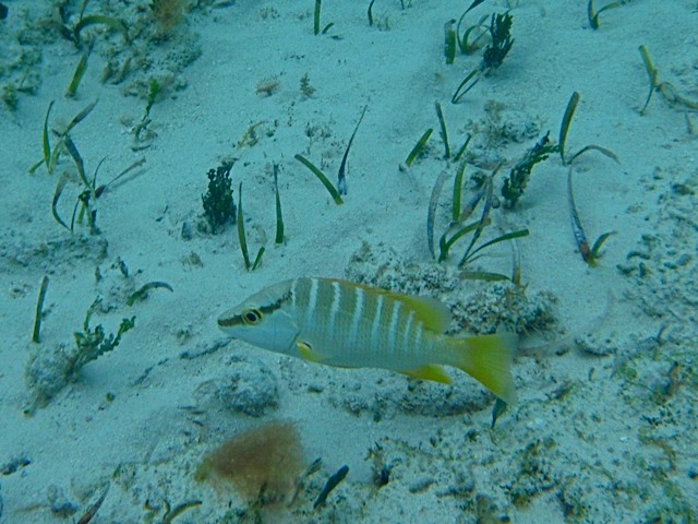 PA030108