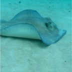 P9280160_2