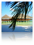 collage_image