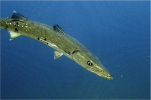 stacks_image_22414EC0-51EE-4A38-8B54-A678DE336BEA