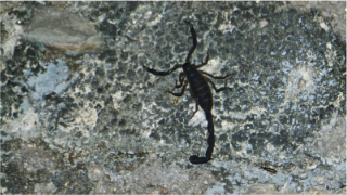 stacks_image_3AEA971F-08C4-4B28-B454-52C7DE379870