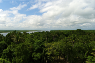 stacks_image_DF128A14-C12D-48FD-9EA2-8187BE6A2BD2