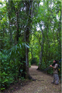 stacks_image_CF85D39D-330A-4B57-8E01-A967839F66C8