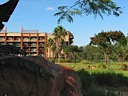 Animal Kingdom Lodge