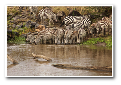 stacks_image_77229C77-5ECE-459D-AD07-783E5080F470