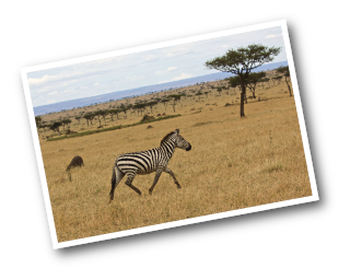 stacks_image_A99A8DAC-6217-4AB8-A184-990D7A095D84